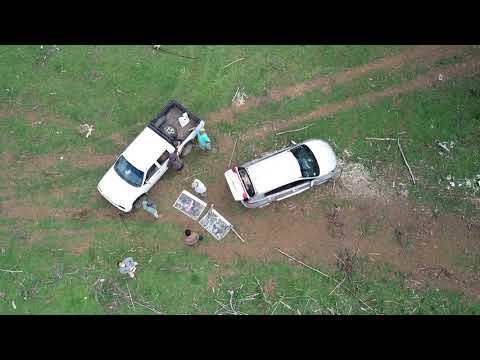 Bosques de pantano estero Pucopio y laguna Trinidad: vídeo de divulgación