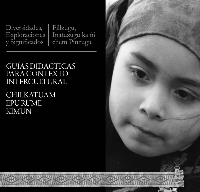 Guías didácticas para contexto intercultural: diversidades, exploraciones y significados = Chilkatuam epu rume kimün: fillzugu, inatuzugu ka ñi chem pinzugu